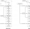 AES Architecture