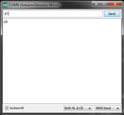 Serial Monitor AT Command