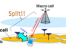 phantom cells