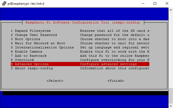 Raspberry Pi Advanced Options